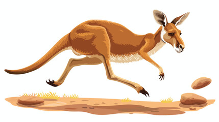 Vector illustration Jumping kangaroo cartoon isolated - obrazy, fototapety, plakaty