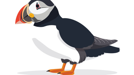 Vector illustration of a puffin Flat vector isolated