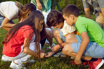 Children exploring wonders of nature. Group of happy elementary school kids who are learning about...