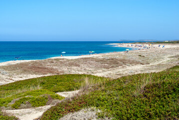 Sardegna, veduta della costa di Maimoni, vicino a Cabras, Oristano, Italia, Europa occidentale 