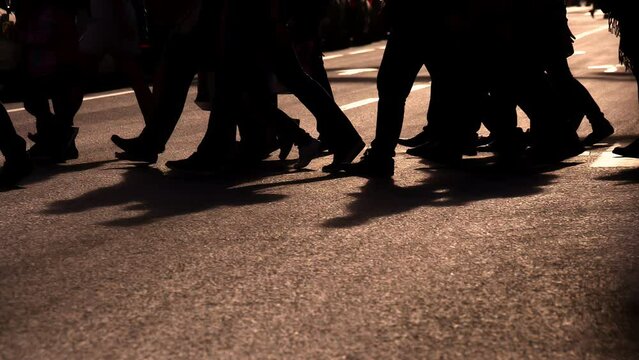 Stream of People in the City Center. A crowd of people crossing the street at a pedestrian crossing in the backlit sunlight