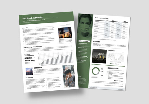 Simple Fact Sheet Template