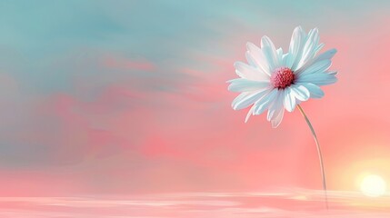 A delicate white gerbera daisy adorned with morning dew drops stands out on a soft pastel bokeh background, perfect for a serene and elegant design.