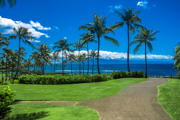 Beautiful view of a walkway surrounded by green grass and palm trees in Maui, Hawaii