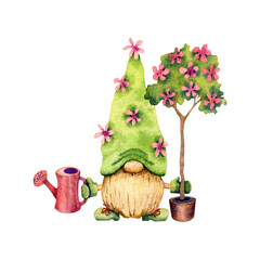 Watercolor illustration of a garden gnome with a watering can and blooming plant isolated on a white background.