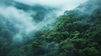 fog in the mountains