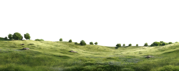 Green grass field with lush trees, cut out