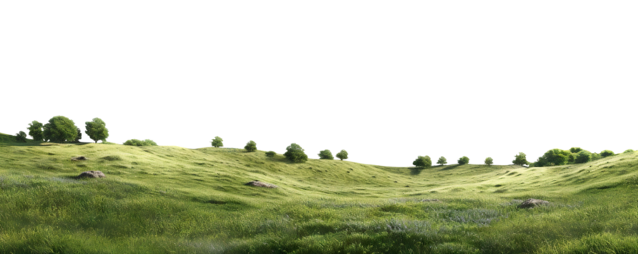 Green grass field with lush trees, cut out