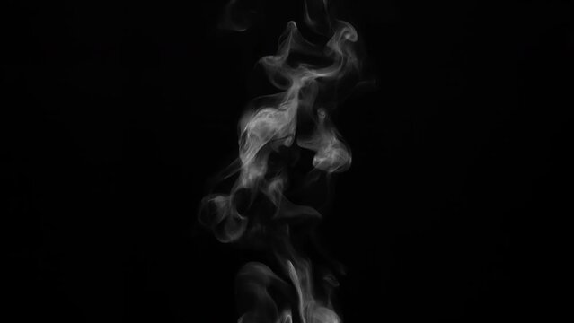 Trickle of Steam from Hot Water. White steam rises light, graceful twists on a black background. The jet lifted out of the cup of hot water