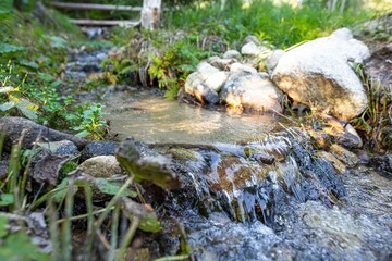 Mountain stream flowing through rocks and green grass in Slovakia