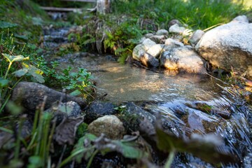 Mountain stream flowing through rocks and green grass in Slovakia