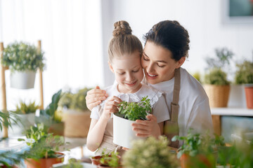 Family caring for plants - 779550680