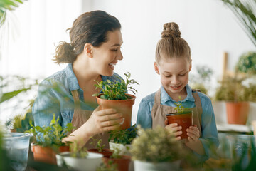 Family caring for plants - 779550681