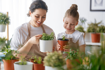 Family caring for plants - 779550849