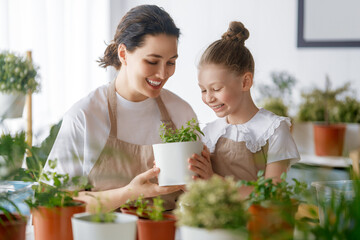 Family caring for plants - 779551004