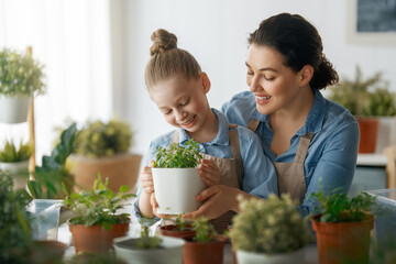 Family caring for plants - 779551071