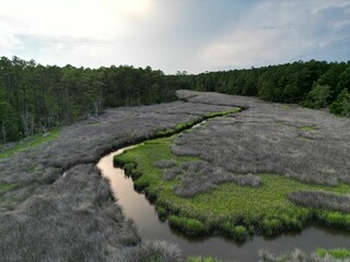 Aerial view of the Carolina Coast Marsh Stream wetlands