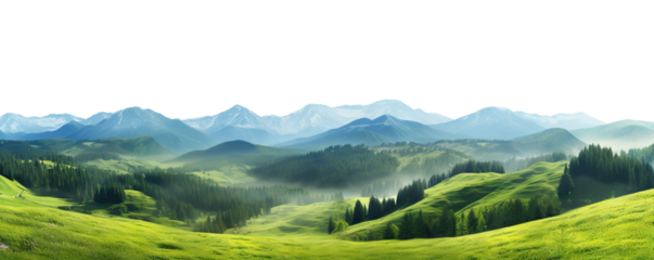 Serene alpine meadow with sprawling green grass and majestic snow-capped mountains in the distance, cut out