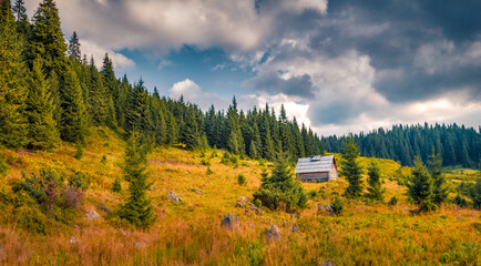 Abandoned wooden house on the hill of mountain forest. Dramatic summer scene of old hut in...