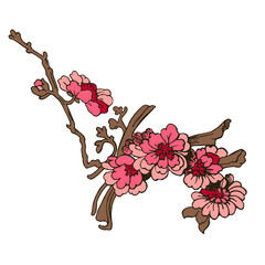 Festive Sakura isolated on white background. Oriental traditional, outline vector illustration. Japanese, Chinese, Korean  trendy design, Celebration Event Greeting card Party Invitation Poster Flyer - 779557820