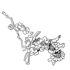 Festive Sakura isolated on white background. Oriental traditional, outline vector illustration. Japanese, Chinese, Korean  trendy design, Celebration Event Greeting card Party Invitation Poster Flyer - 779557822