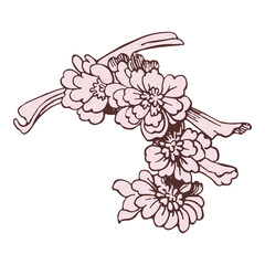 estive Sakura isolated on white background. Oriental traditional, outline vector illustration. Japanese, Chinese, Korean trendy design, Celebration Event Greeting card Party Invitation Poster Flyer