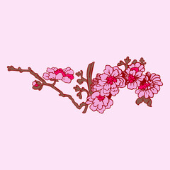 Festive Sakura isolated on pink background. Oriental traditional, outline vector illustration. Japanese, Chinese, Korean trendy design, Celebration Event Greeting card Party Invitation Poster Flyer