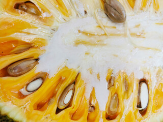 slice of jackfruit texture