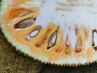slice of jackfruit texture - 779558470
