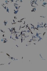 leaves scattered on the ground in a faded negative