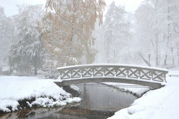 Picturesque winter garden with a bridge, land and trees covered in snow on a foggy day