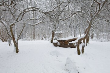 Wooden bench and table in forest with snow on the ground in winter, Haltiala, Helsinki, Finland.