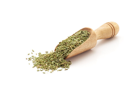 Front view of a wooden scoop filled with Organic Fennel Seeds (Foeniculum vulgare) Badi saunf. Isolated on a white background.
