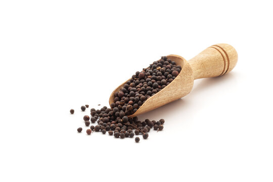 Front view of a wooden scoop filled with Organic False Black Pepper (Embelia ribes) or Baibadang. Isolated on a white background.