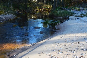 Calm river surrounded by green trees with frozen fallen leaves on the shore