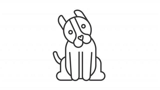 Animated dog icon. Domestic animal. Pet moving tail and head line animation. Animal character. Cute puppy. Black illustration on white background. HD video with alpha channel. Motion graphic