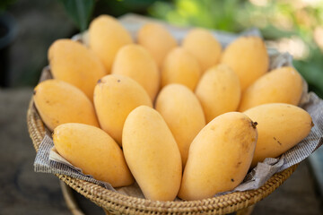 Mango sticky rice: Sweet sticky rice served with fresh mango and coconut milk.Southeast Asia.Ramadan foods.