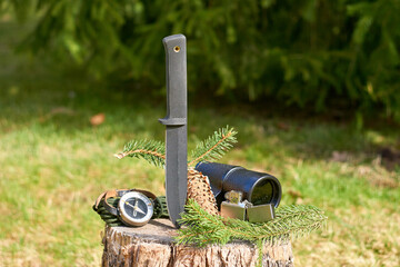 A black tactical knife, a vintage monocular, a lighter, a handheld compass, and a pine branch with...