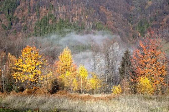 Slightly foggy valley on gloomy autumn day and mountain forests