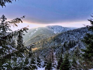Fototapeta na wymiar Aerial scenic shot of green trees covered in snow and a high mountain under clouds