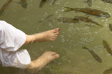 feet in river water with fish.