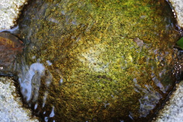 Fresh clean water flowing over a natural stone surface.