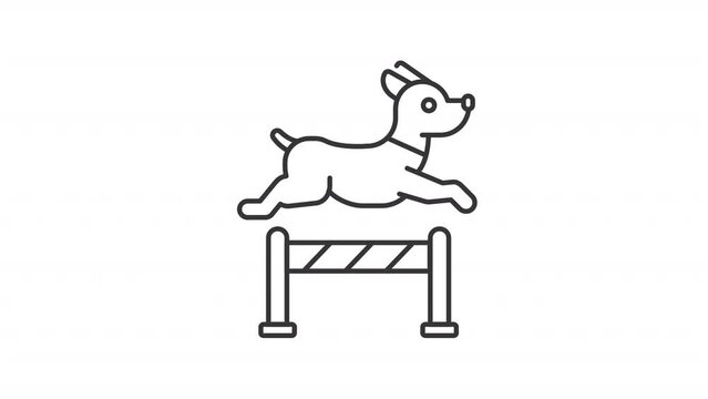 Pet training line animation. Animated jumping dog icon. Obedience training. Dog leap. Pet exercise. Black illustration on white background. HD video with alpha channel. Motion graphic