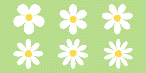 Set of daisy flowers icons isolated. Chamomile vector icon