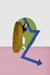 Vertical photo collage of silly girl peek huge gold dollar coin arrow down bankrupt crisis decline...