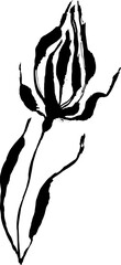 Grunge Dry Brush Ink Wild Flower - 779581023