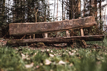 Fototapeta premium Wooden bench made of a log in a forest