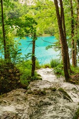 Vertical shot of turquoise water seen through trees in Plitvice Lakes National Park, Croatia