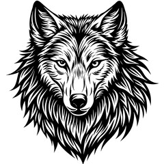        Wolf side head vector illustration.
