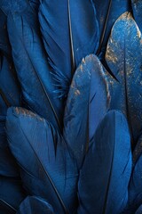 Obraz premium Detailed macro shot of a cluster of navy blue feathers up close, showing intricate details and textures